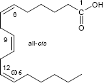 Gamma-Linolensäure