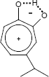 Hinokitiol-Aromat