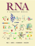 kinds of rna