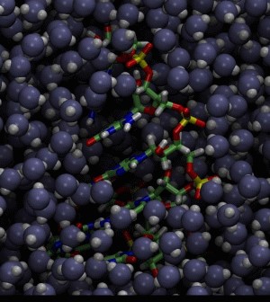Simulation von RNA in H2O-Umgebung