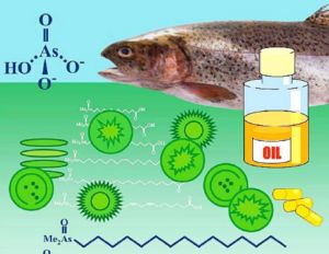 Fischöl enthält möglicherweise krebserregendes Arsen