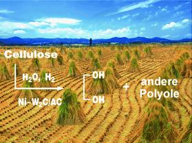 Biomasseumwandlung in Ethylenglykol