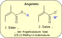 Angelate