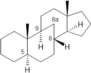 8(9)a-Homo-5a-Androstan