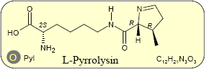 Pyrrolysin