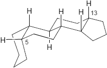 Cardenolid-Typ