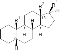 Steroide-5b