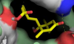 Abscisic acid