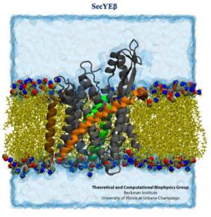 SecY protein channel