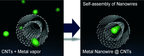 Metal nanowire