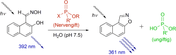 Detection and detoxifying of organophosphorus-based nerve agents