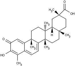 Celastrol