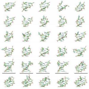 DNA Unfolding