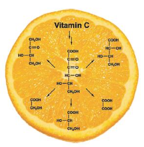 Vitamin C Maillard-Abbauwege