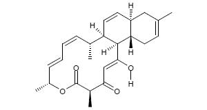 Anthracimycin Struktur